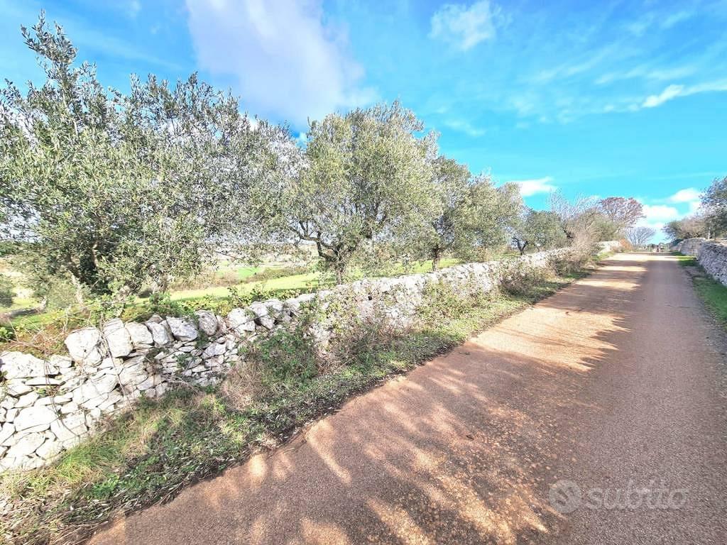Terreno di 9900 m² a Alberobello - Vista 2