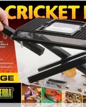 Exo Terra contenitore grilli Cricket Pen
