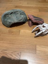 Attrezzatura per terrario