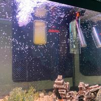 Acquario completo