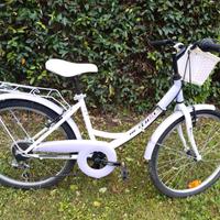 bicicletta netbike