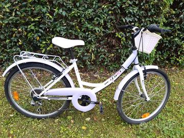 bicicletta netbike