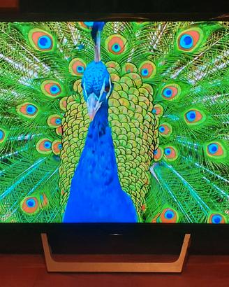 Smart tv Soy 32" pollici