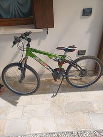 Bicicletta raggio 24
