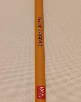 LEGAMI feelin' corgeous 