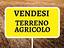 Immagine 10