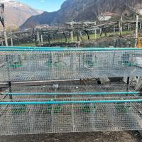Gabbia  per conigli