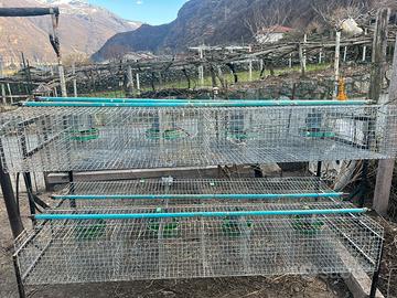 Gabbia  per conigli