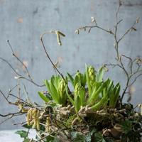 Collaboratrice Domestica Baby Sitter Fidata