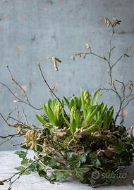 Collaboratrice Domestica Baby Sitter Fidata