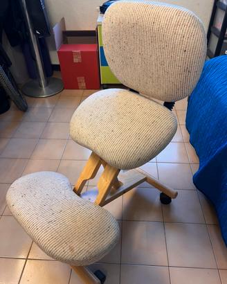 Sedia ergonomica