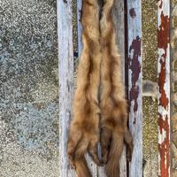 Collo in pelliccia visone