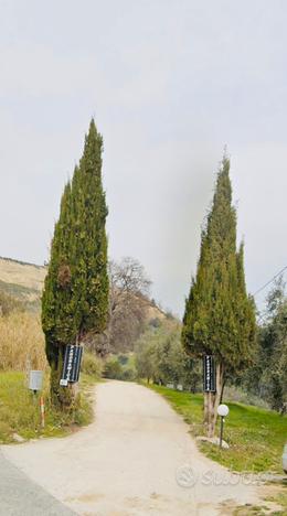 Terreno agricolo zona S.Lucia 4000mq