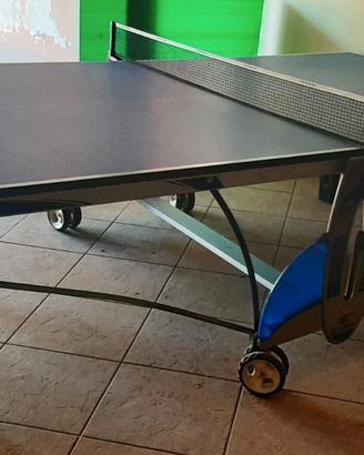 Tavolo professionale ping pong 