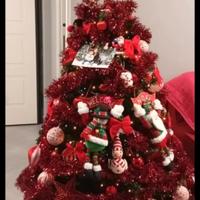 Albero di natale senza addobbi 