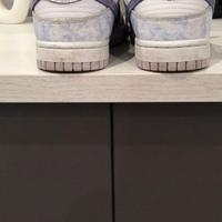 Nike dunk