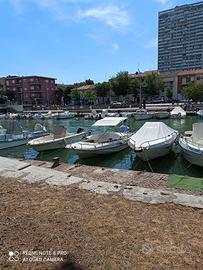 boston Whaler 19 outrage