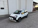 fiat-panda-1-0-firefly-s-s-hybrid-pandina