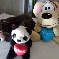 Peluche