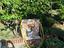 Immagine 23
