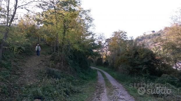 Silvi: Terreno con rudere vista mare - Vista 5