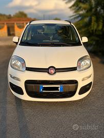 FIAT PANDA - LUONGE - 1.2 GPL