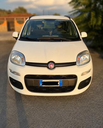 FIAT PANDA - LUONGE - 1.2 GPL