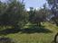Immagine 25