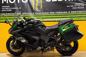 Kawasaki Ninja 1000 SX Tourer (2021)