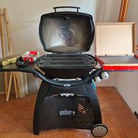 Weber Q 3200 a gas 