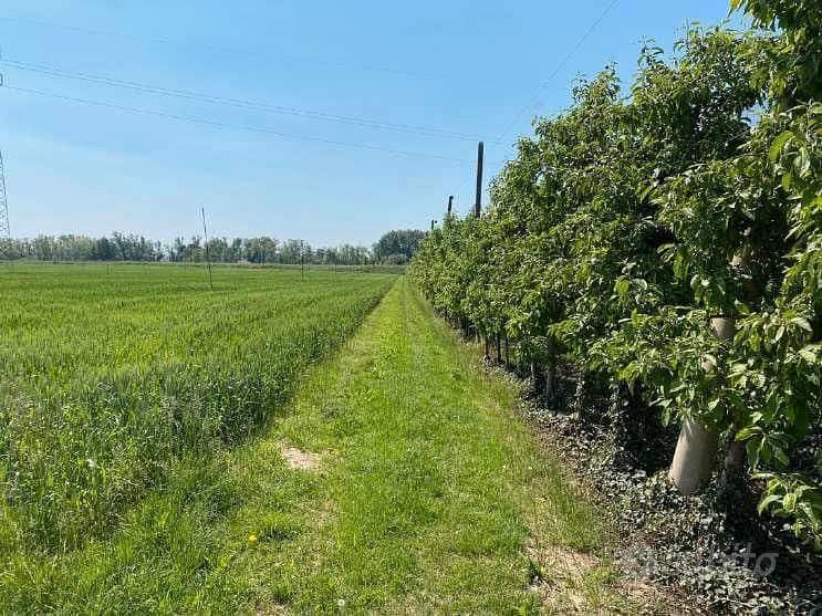 RGE 133/2022 Tribunale Verona - Lotto 5) - Vista 2