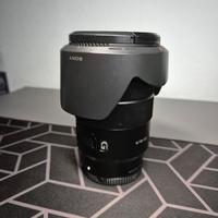Sony 18-105 f4