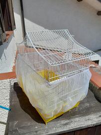 Gabbia per canarini