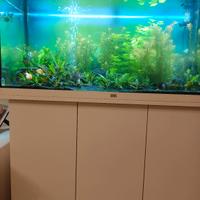 Acquario juwel