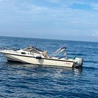 Boston whaler revenge 25 wt
