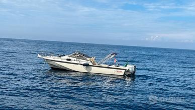 Boston whaler revenge 25 wt
