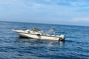 Boston whaler revenge 25 wt