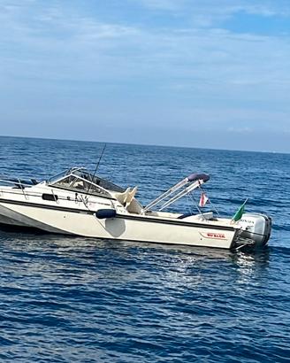 Boston whaler revenge 25 wt