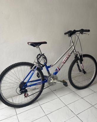 Mountain bike 26 pollici
