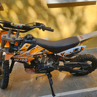 Kxd pro Germany kingroma