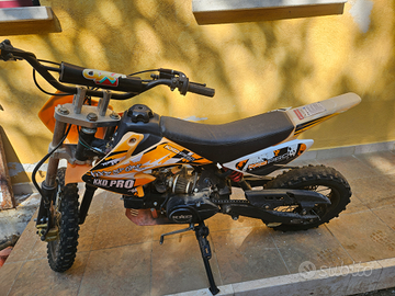 Kxd pro Germany kingroma