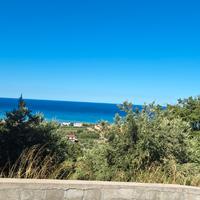 Last minute agosto mirto crosia