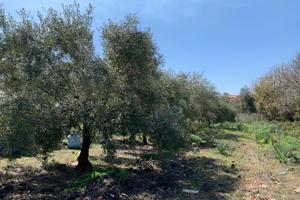 Agricolo a Pedara