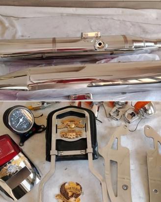 marmitte sissybar pompa freno Harley sportster