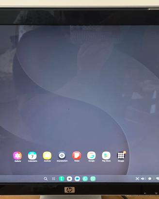 Monitor HP W2007v