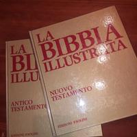 2 libri La Bibbia illustrata
