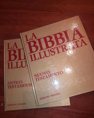 2 libri La Bibbia illustrata