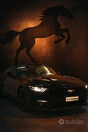 Mustang convertible 2019