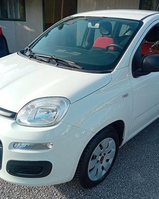 Fiat Panda 1.2 69 cv  Pop - 2020 - E6