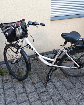 E city bike